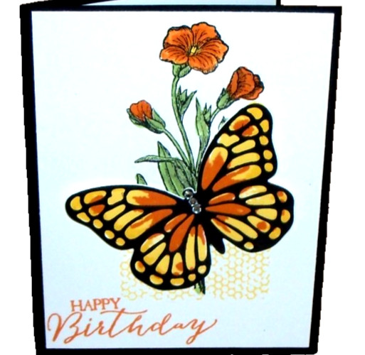 Stampin' Up BUTTERFLIES THINLITS DIES 3pc Set #137360 ALL OCCASION BUTTERFLY