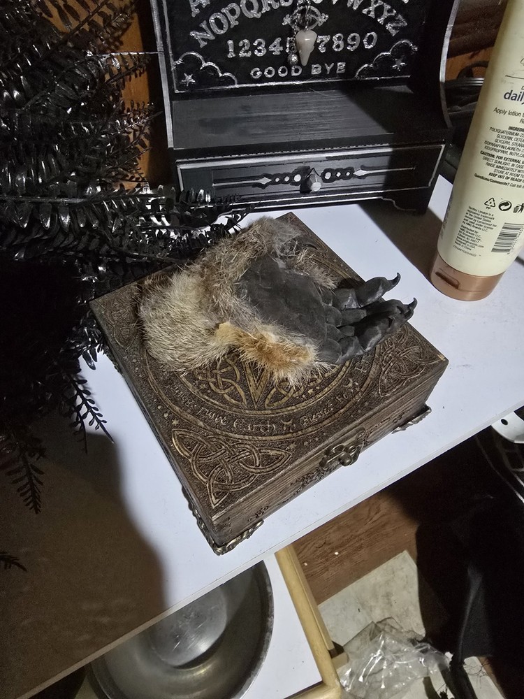 Monkeys Paw
