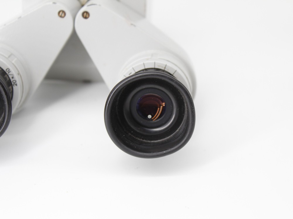 OPMI Surgical Microscope Binocular Eyepieces #DZ1