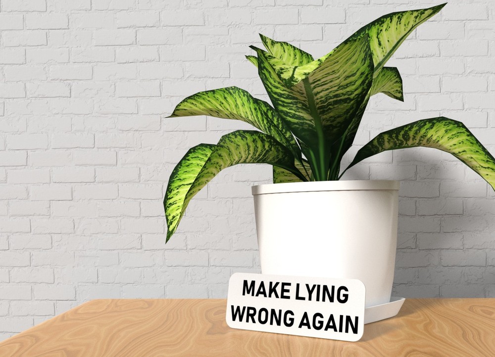 Make Lying Wrong Again | Funny Sign for Home or Office