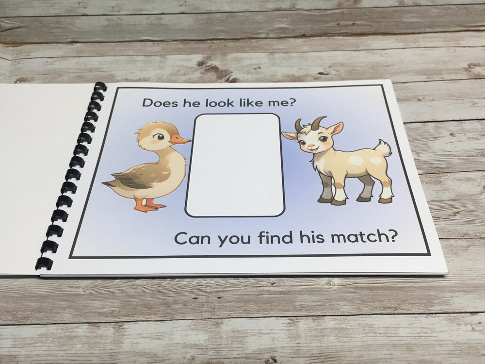 Interactive Learning Books for Children - Ducky’s Match