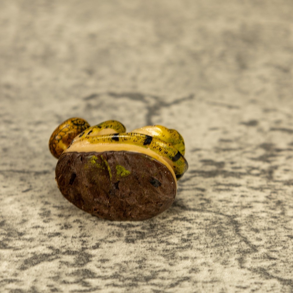 Green Iguana Lizard Tagua Nut Carving