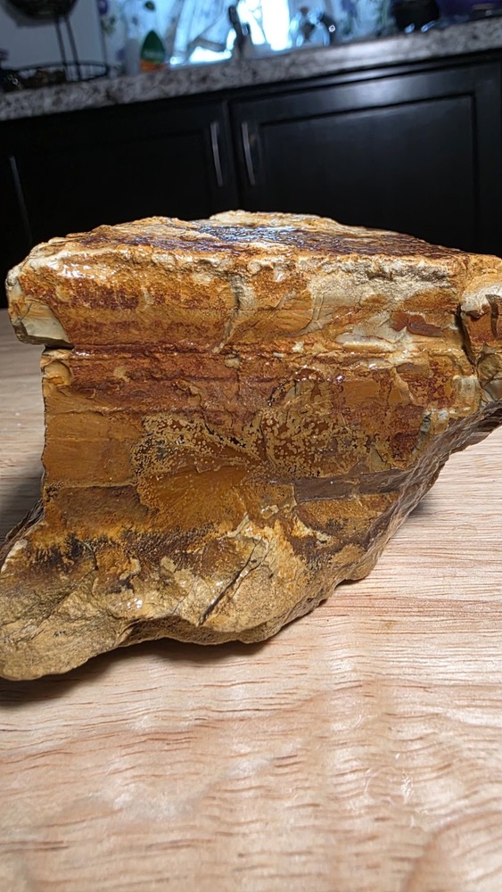owyhee picture jasper