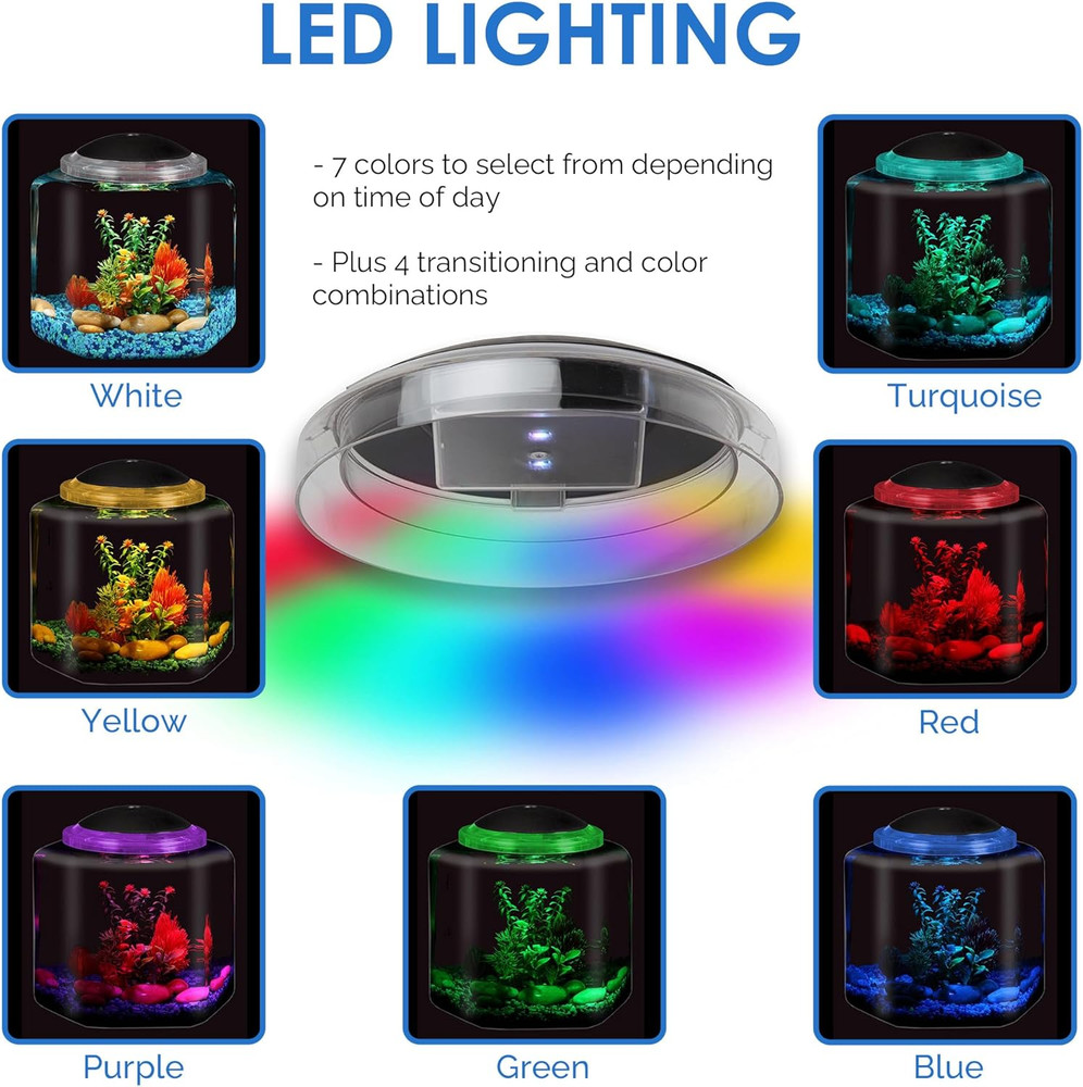 1 Gallon Hex Bettatank - LED Lighting