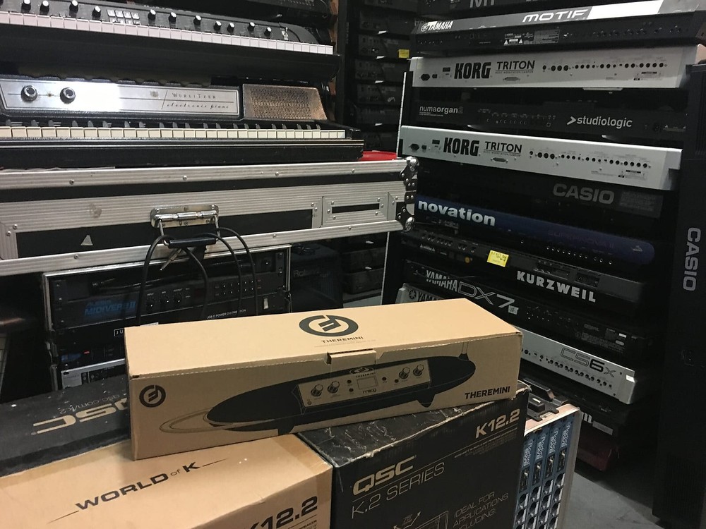 Moog Theremin Theremini New ARMENS