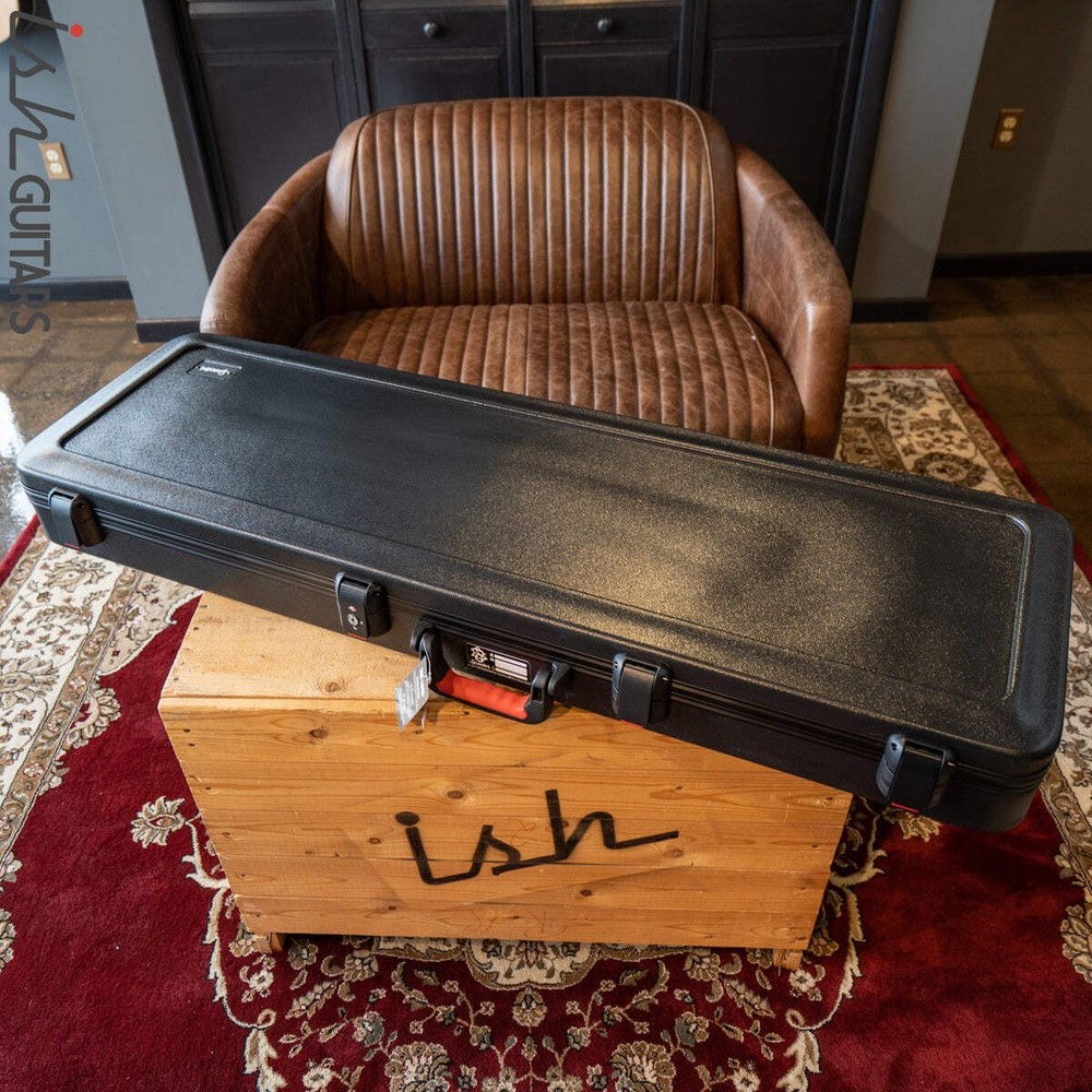 Spector NS Flight Case