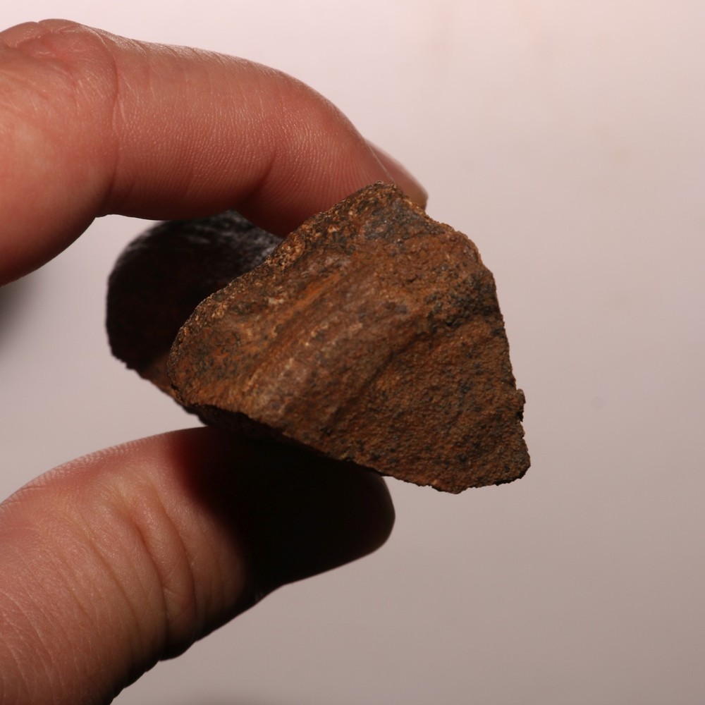 Dinosaur Vertebra Partial - Nice Sized - Hell Creek Formation CRETACEOUS Great