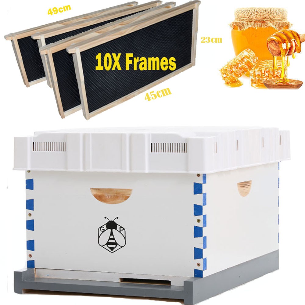 Beehive Langstroth 30 Wooden Frame Box Kit With Painting Boxes, 2 Deep 2 Medium