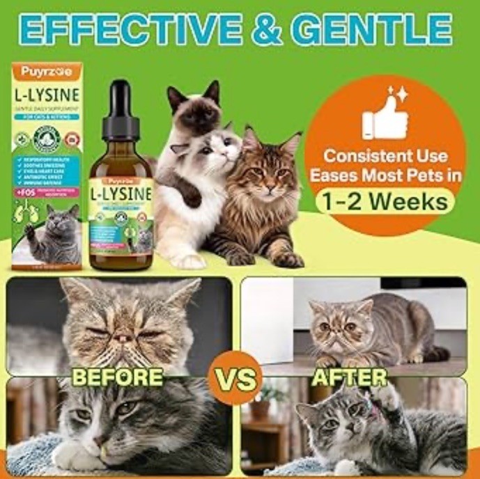 Lysine for Cats Drops