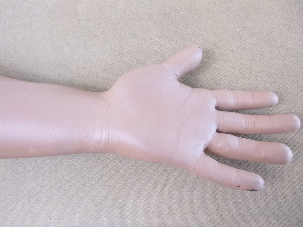Nasco ?? Life/Form ?? IV Injection Training Arm