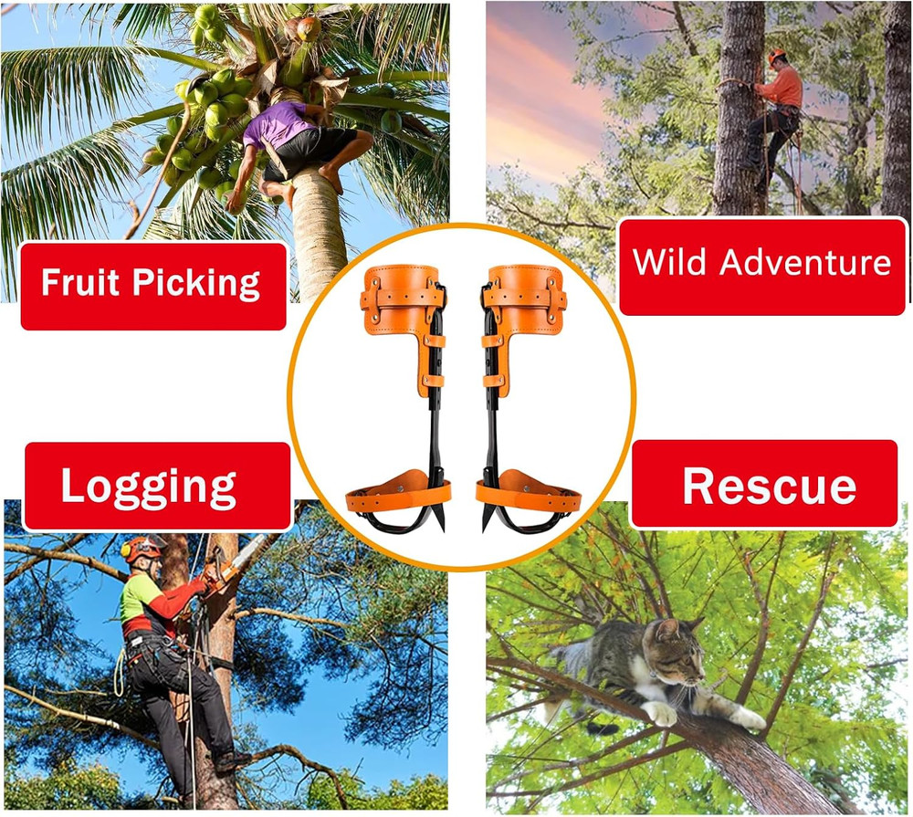 Adjustable Tree Climbing Gear Set with Spikes for Logging & Fruit Picking