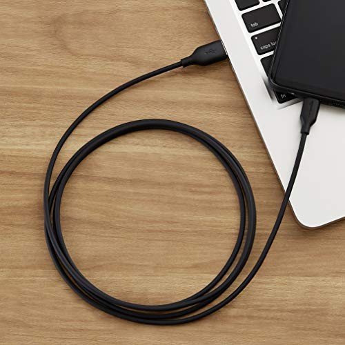 Amazon Basics 2-Pack USB-C to USB-A 2.0 Fast Charging Cable, 6-Foot, Black