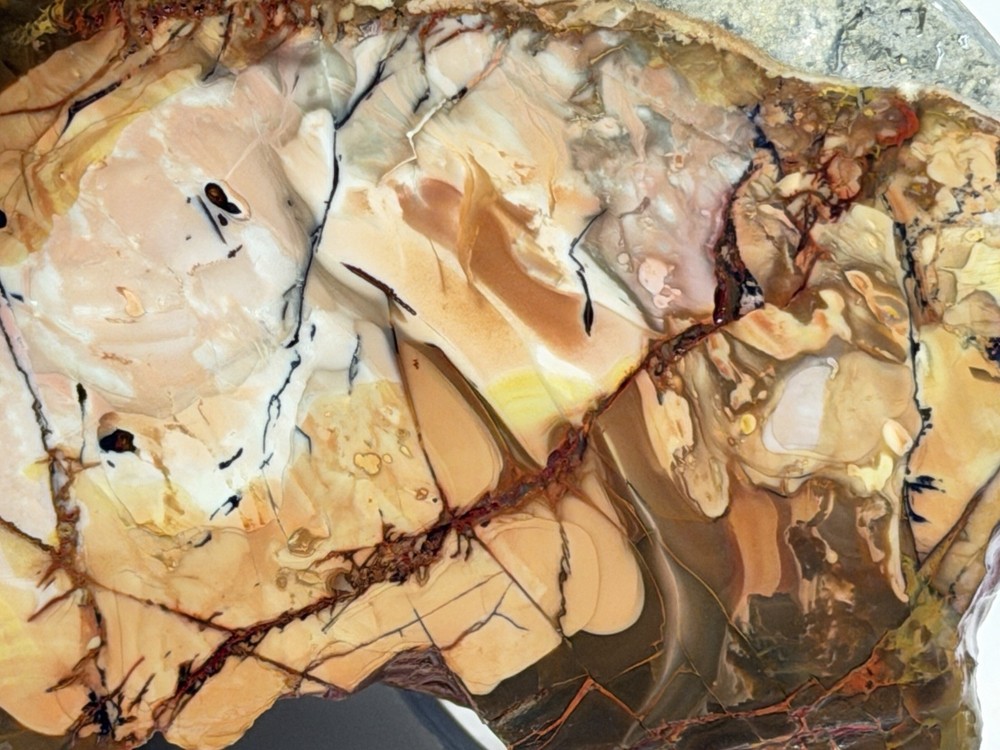 Carrasite Jasper Heel , Lot #344