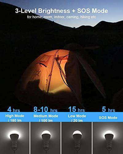 USB Rechargeable Light Bulbs with Remote, 4 Light Modes + Timer, 2 Pack White