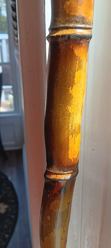 Handcarved Walking/hiking Stick
