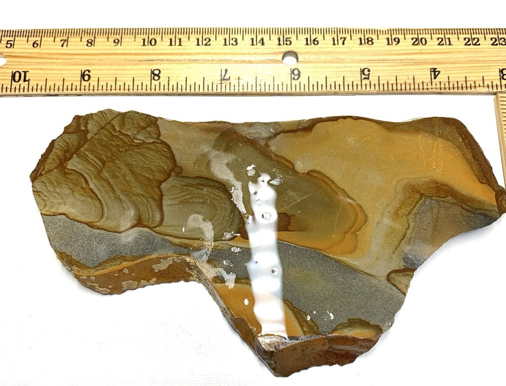 Disaster Peak Picture Jasper Slab