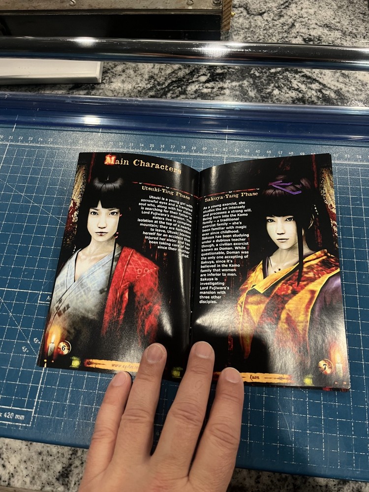 Def Jam Fight for NY PS2 manual