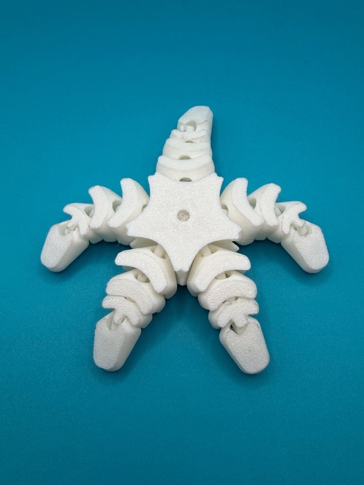 Articulated Starfish 3D Printed