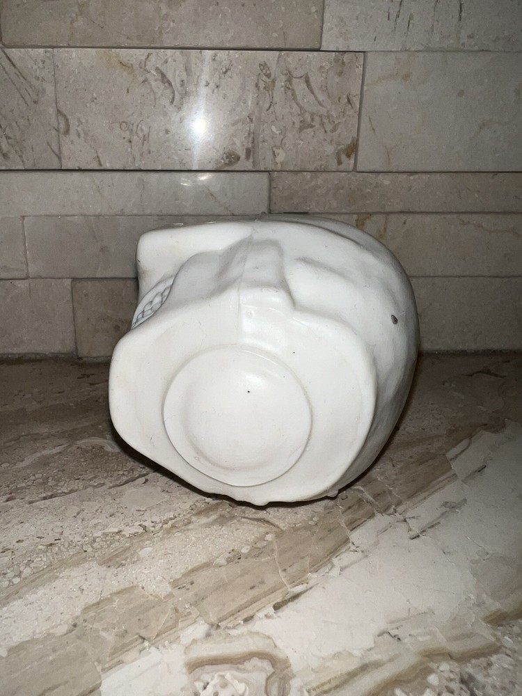 SQUISHY HALLOWEEN SKULL WITH VISIBLE BRAIN MATTER SICK!