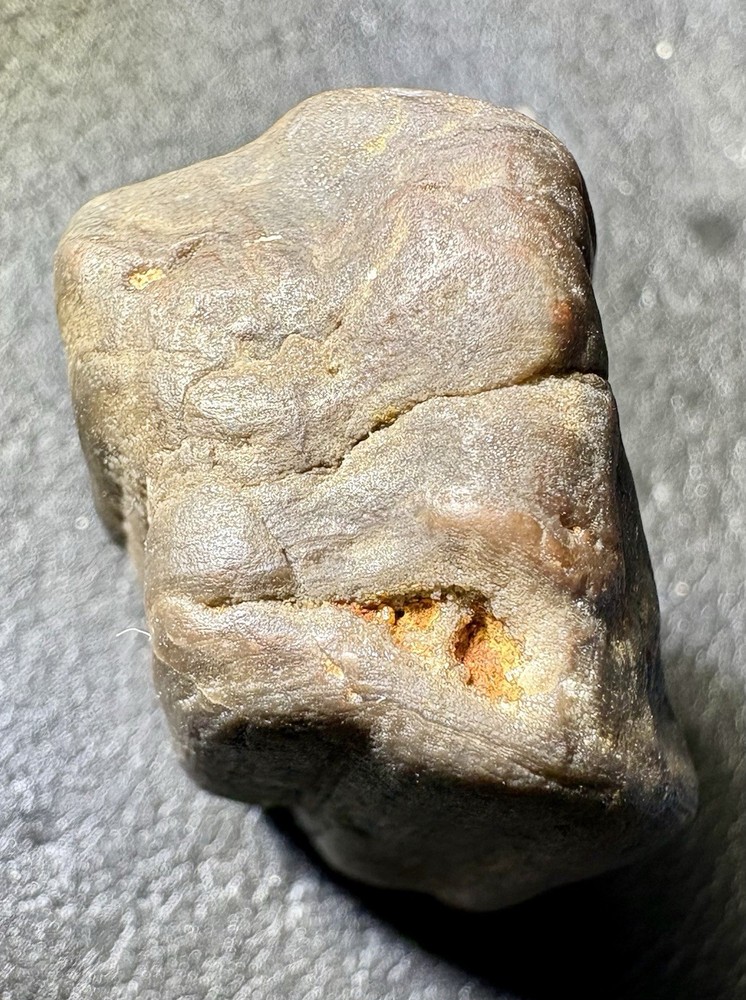 1 oz Petrified Wood