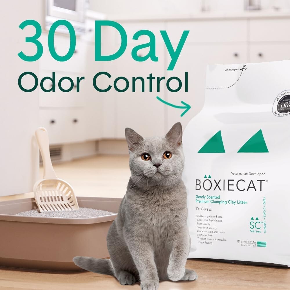Boxie Cat Litter 32lbs - Veterinarian Approved, Easy Clean Odor Control Solution