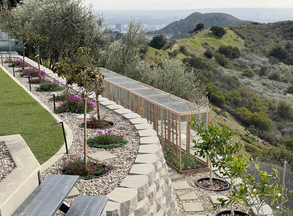 6 Pack 20" Tree & Shrub Watering Rings – Deep Root Irrigation Basin with Solid O