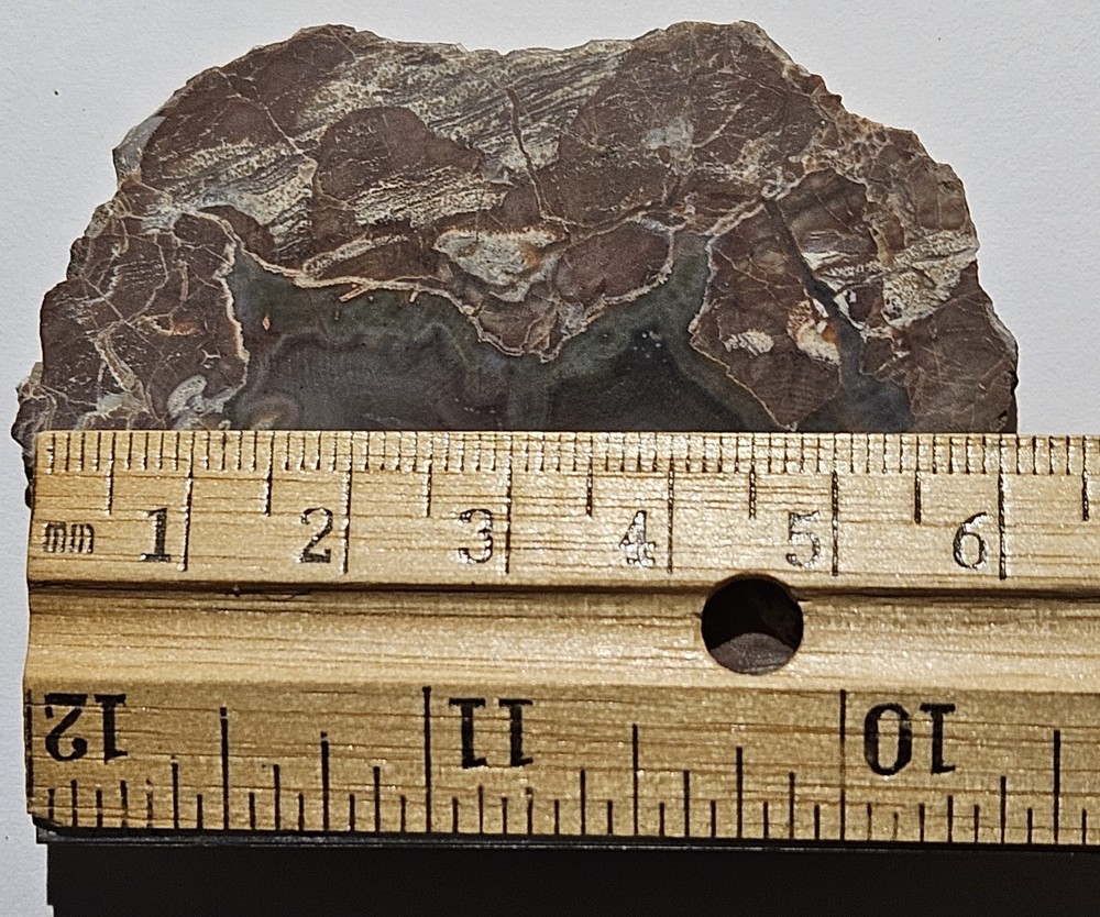 Agate Lapidary Slab 30 Grams Baker Area