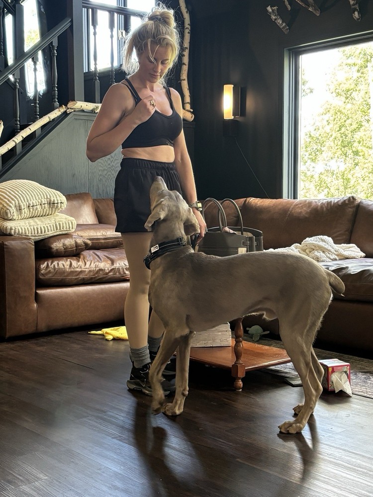 mystery boxes 3/$20.