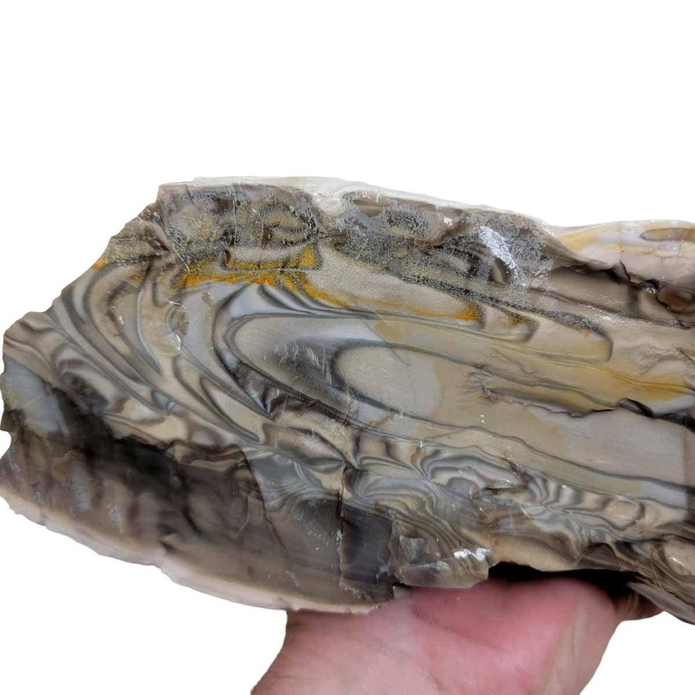 RARE Polish Flint Orbicular Rough Chunk!