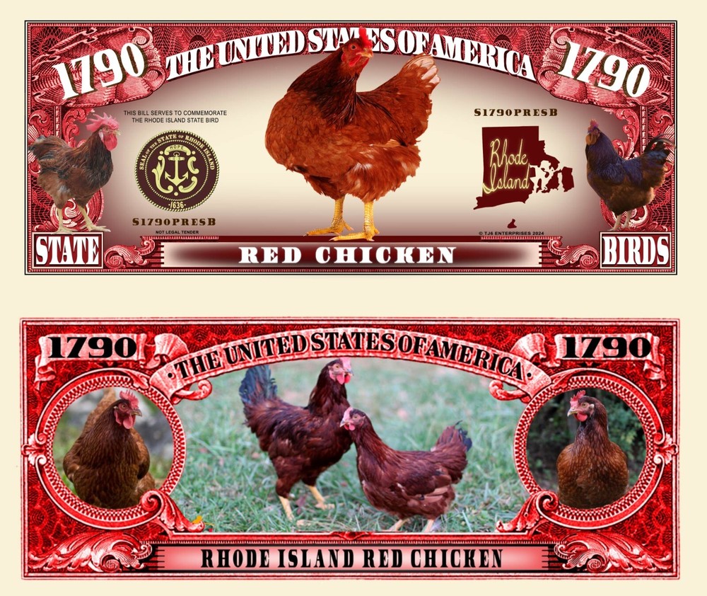 OUR RHODE ISLAND RED CHICKEN NOVELTY NOTE  (2 EA)