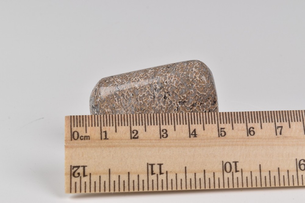 Polished Dinosaur Bone from Morocco 5.0 cm # 21584