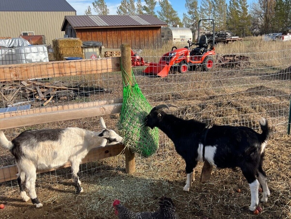 Small square hay net