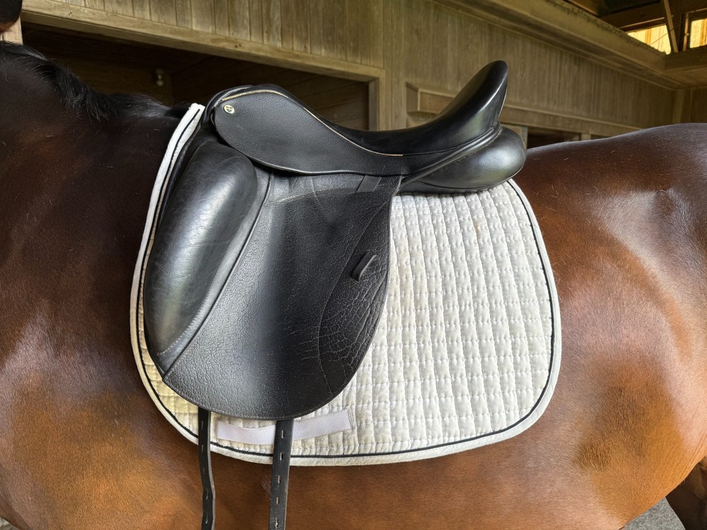 N2 Dressage Saddle