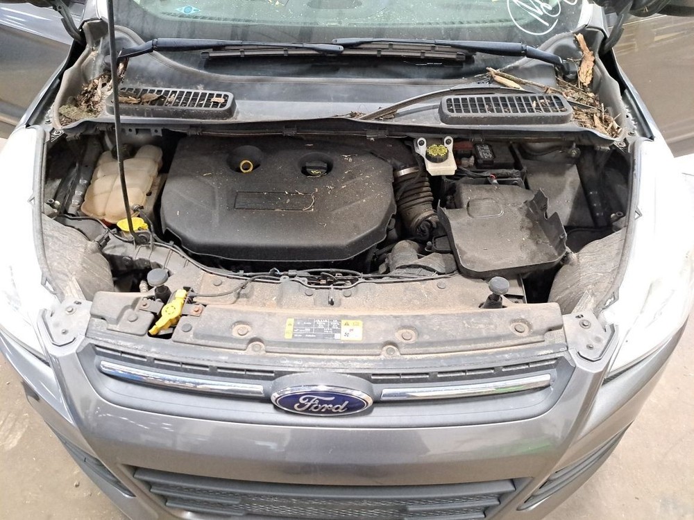 Rear 2014 Escape Camera/Projector Sku#4220015
