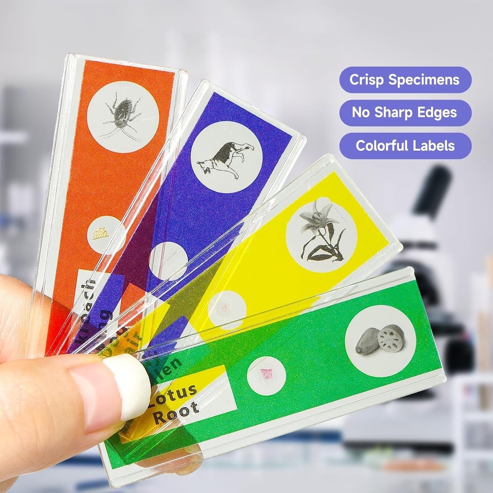 Jiusion 48Pcs Prepared Microscope Slides Specimen Animals Insects Plants Flow...