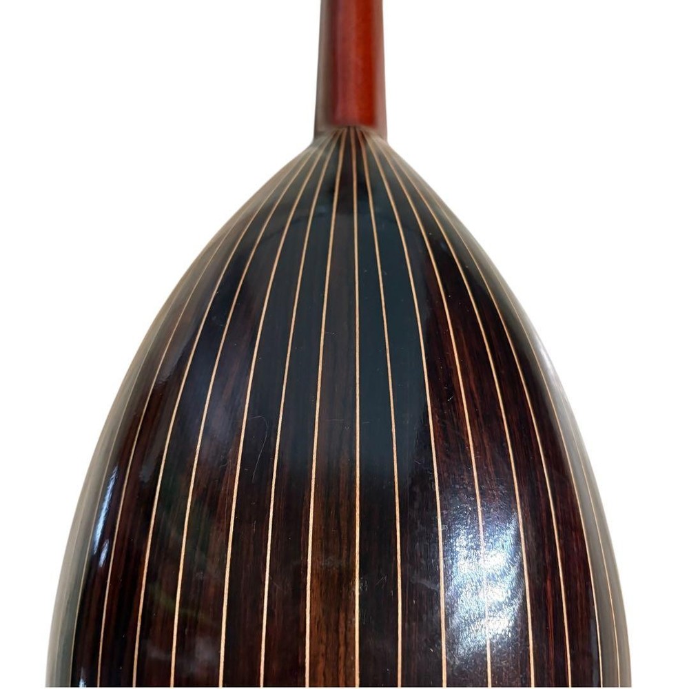 SUZUKI Mandolin M-218 with hard case