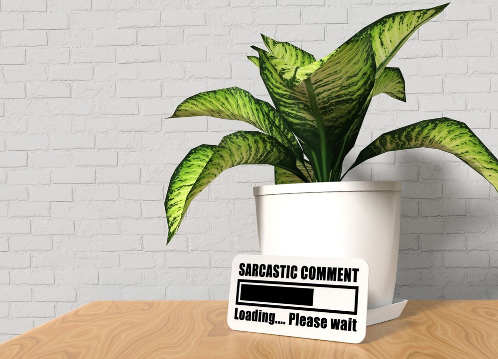 Sarcastic Comment Loading Please Wait | Funny Sign for Home or Office