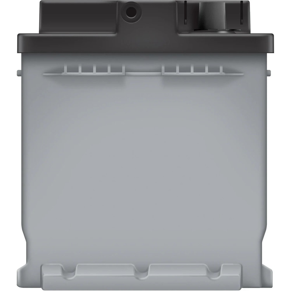 EverStart Platinum AGM Battery, Group Size H6