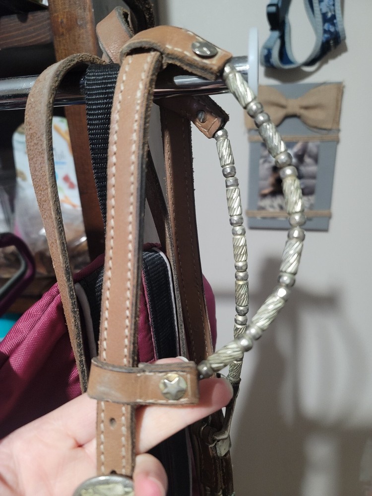 Silver Western Briddle Used On A Large Pony