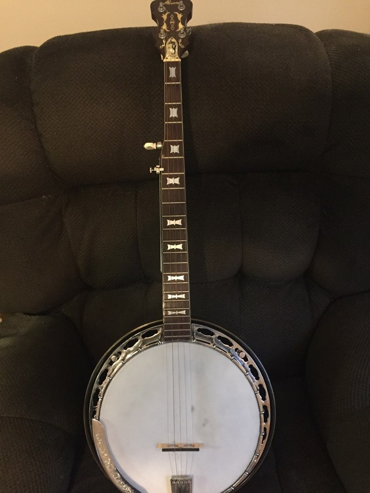 Alvarez 5 string banjo with hard case