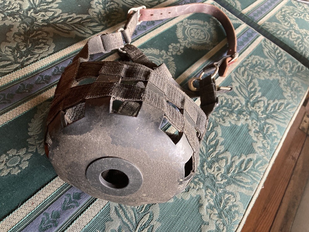 DA brand safety pony grazing muzzle