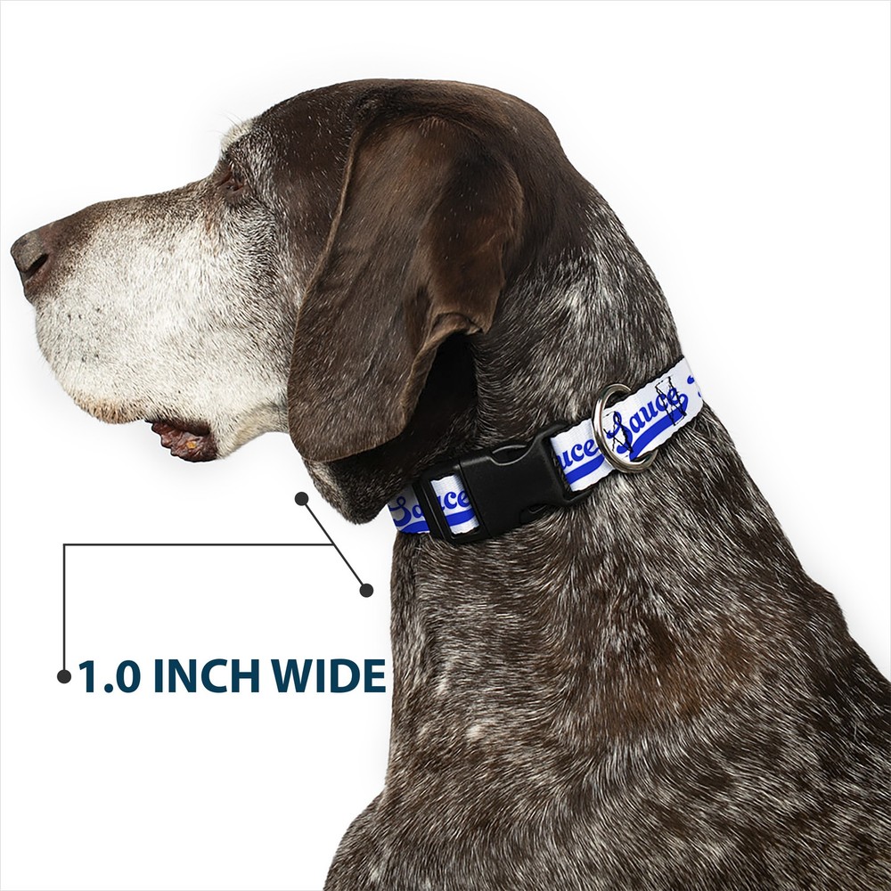 Plastic Clip Collar SAUCE Baseball Script White/Blue Medium 11-16.5"