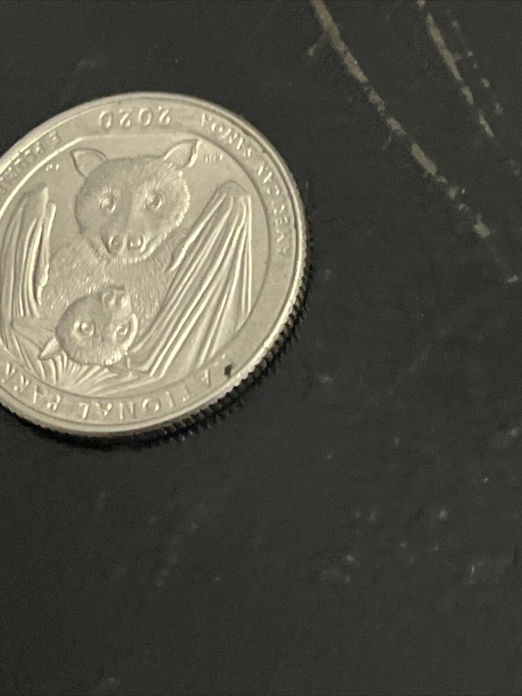 2020 RARE! BAT Quarter ￼