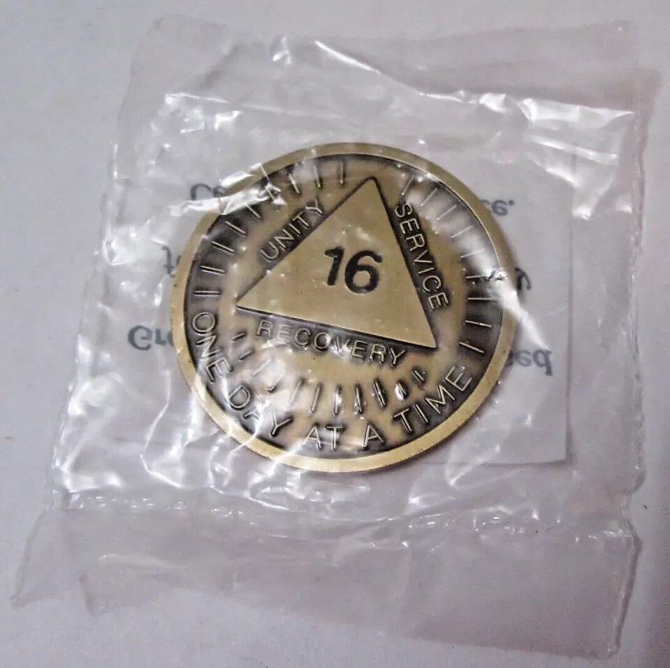 Alcoholics Anonymous AA 16 Year Sunshine Bronze Medallion Token Chip Sober
