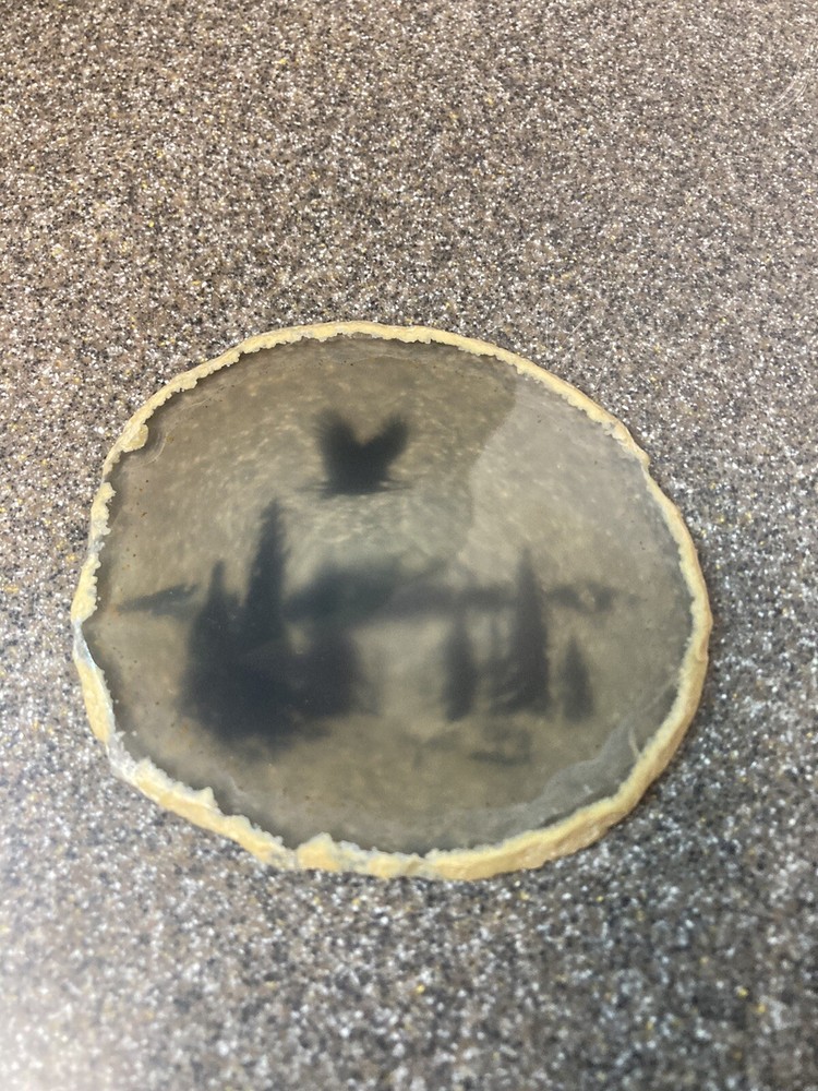 Vintage Andrea Meyer Signed Soaring Eagle on Sliced Agate Geode 1987 3”