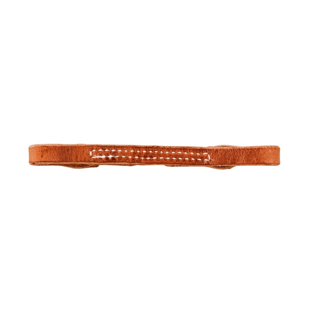AJ Tack Harness Leather 2 Button Curb