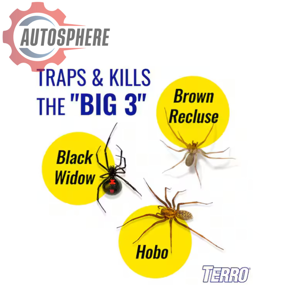 Terro T3206 Spider & Insect Traps – Indoor Use, 1 Pack, White