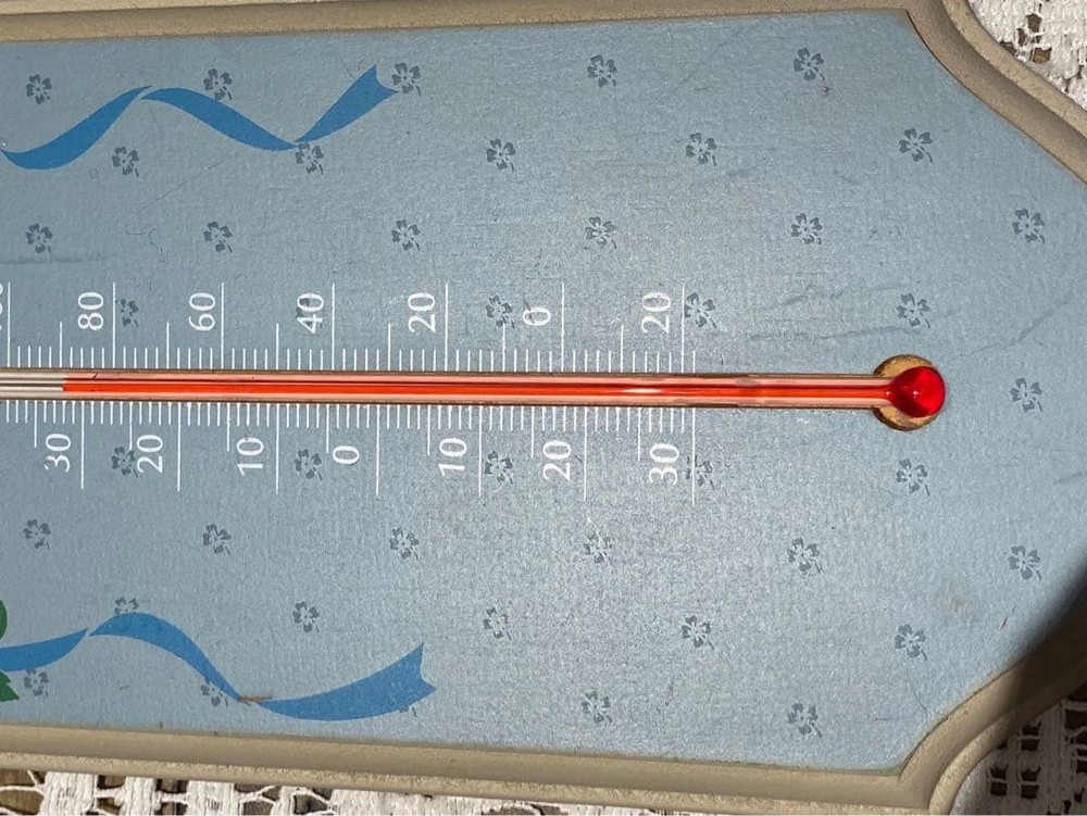 Thermometer Rose Rose Interior