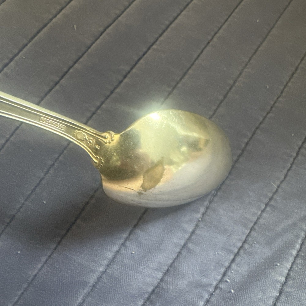 MOSELLE Grapes AMERICAN SILVER PLATE Silverplate SERVING SPOON