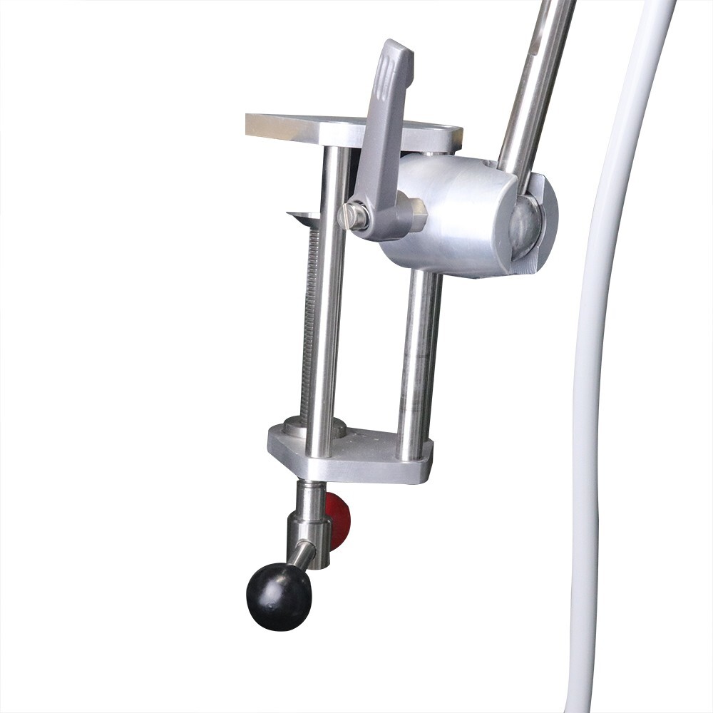 Dental Simulator Mannequin Head Teeth Model Teaching Practicing Head Mold desk